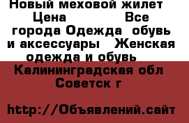 Новый меховой жилет › Цена ­ 14 000 - Все города Одежда, обувь и аксессуары » Женская одежда и обувь   . Калининградская обл.,Советск г.